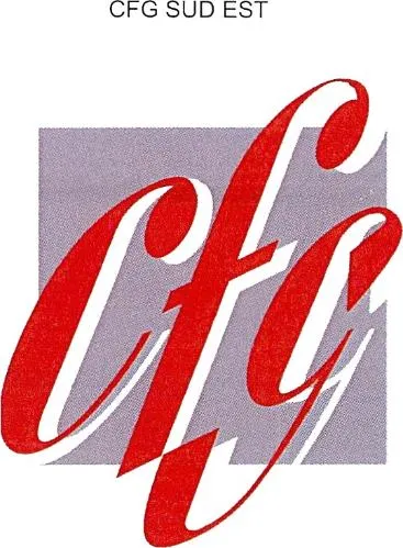 Cfg Sud Est Cfg est une marque déposée par COMPAGNIE FIDUCIAIRE SUD EST