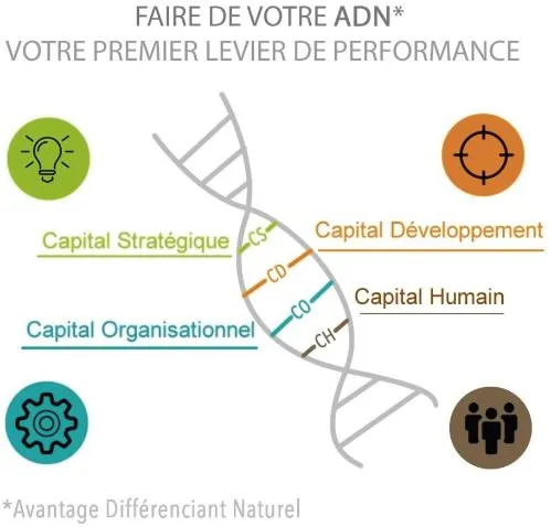 Faire De Votre Adn Votre Premier Levier De Performance Capital Strategique Cs Capital Organisationnel Co Capital Developpement Cd Capital Humain Ch Av est une marque déposée par GEOMETRIE VARIABLE