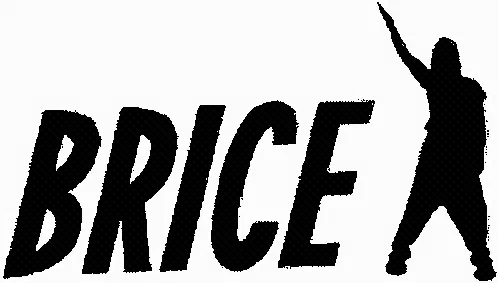 Brice est une marque déposée par JD PROD
