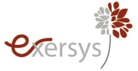 Exersys est une marque déposée par EFFICIENCE EXPERTISE