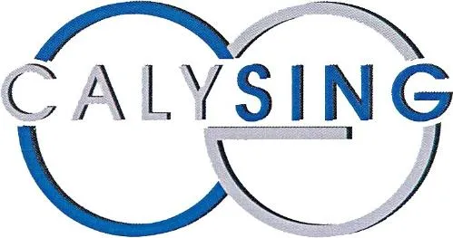 Cg Calysing est une marque déposée par CALYSING