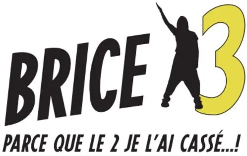 Brice Parce Que Le 2 Je L Ai Casse...! est une marque déposée par JD PROD