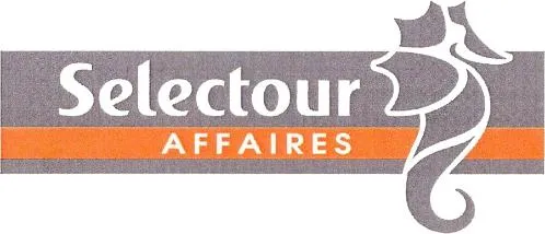 Selectour Affaires est une marque déposée par COOPERATIVE SELECTOUR