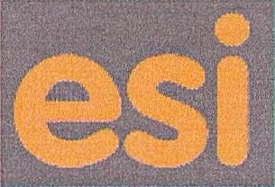 Esi est une marque déposée par E.P.E. CONSEIL (E.P.E. CONSEIL)