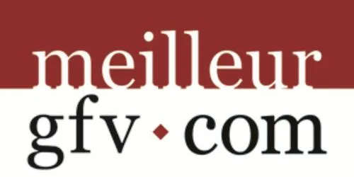 Meilleur Gfv.com est une marque déposée par MEILLEURESCPI.COM