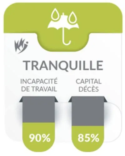 Tranquille Incapacite De Travail 90% Capital Deces 85% est une marque déposée par MUTUELLE DU MINISTERE DE LA JUSTICE (MMJ)