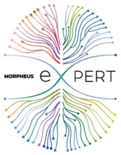Morpheus Expert est une marque déposée par MORPHEUS E-XPERT