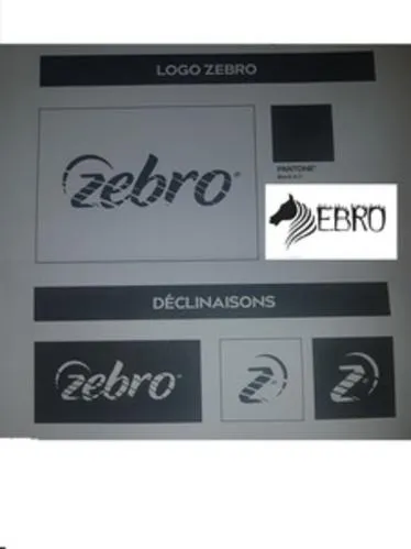 Zebro est une marque déposée par MAXI COLOR AUTO (MCA)