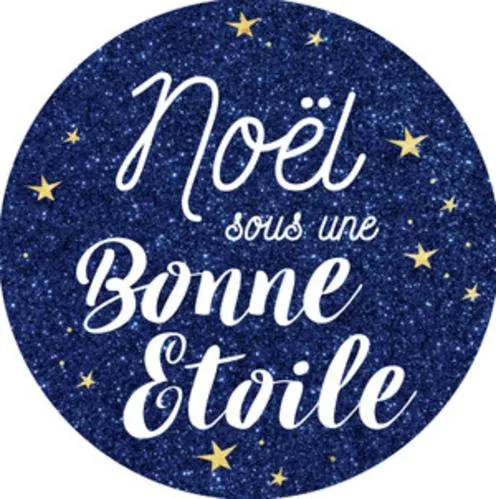 Noël Sous Une Bonne Etoile est une marque déposée par PICARD SURGELES