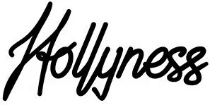 Hollyness est une marque déposée par BRODELEC