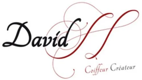 David H Coiffeur Créateur est une marque déposée par CAPILLUM