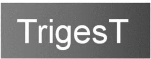 Trigest est une marque déposée par TRIGEST