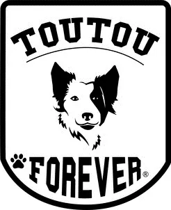 Toutou Forever est une marque déposée par IMPORT4U