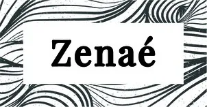 Zenaé est une marque déposée par COMPAGNIE DES SALINS DU MIDI ET DES SALINES DE L'EST