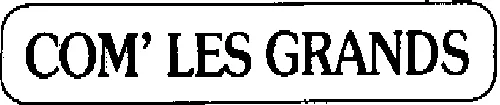 Com' Les Grands est une marque déposée par NEJAVA