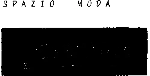 Spazio Moda est une marque déposée par CODALINE