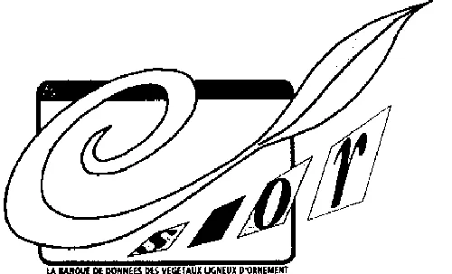 Tetra Vox Conseil & Formation est une marque déposée par TETRA VOX