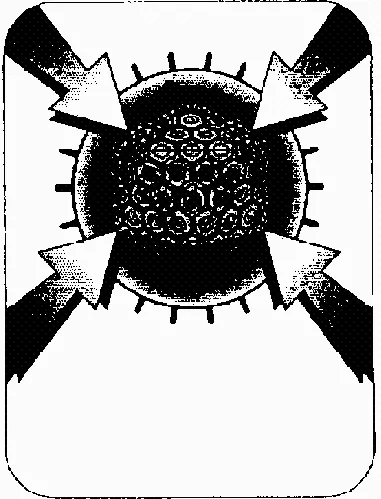 W est une marque déposée par J.M. WESTON