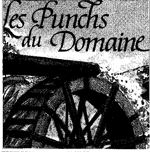 Les Punchs Du Domaine est une marque déposée par MARSOLLE JOSEPH