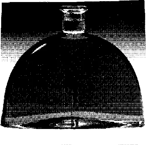  est une marque déposée par SA COGNAC RENE LUC CHABASSE