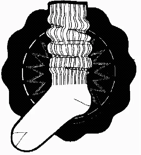  est une marque déposée par VIASTAEL (ACHILE-MISS ACHILE)