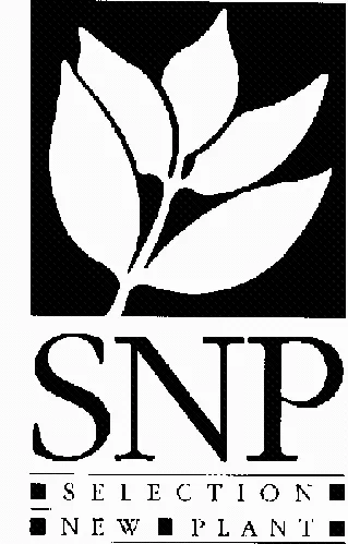Snp Selection New Plant est une marque déposée par SELECTION NEW PLANT