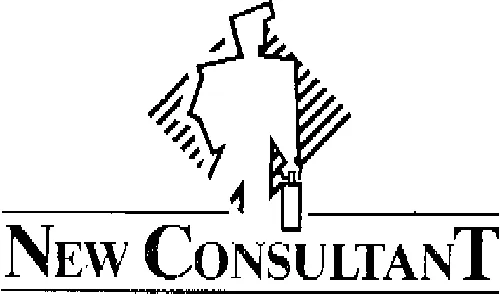 New Consultant est une marque déposée par NEW CONSULTANT