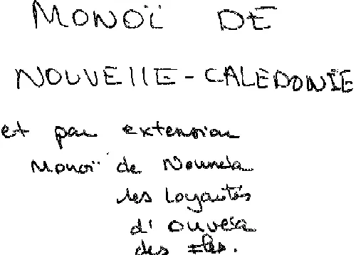 Logicare est une marque déposée par DE RIJKE FRANCE