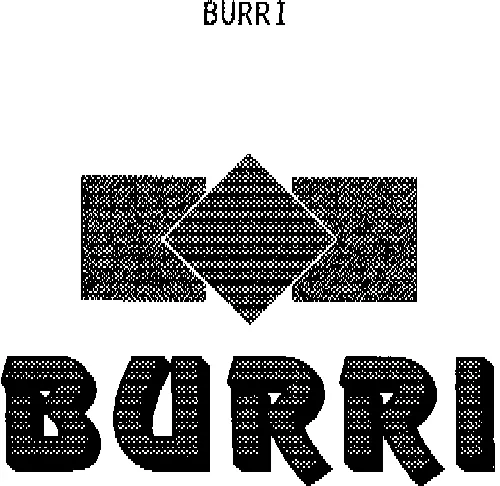 Burri est une marque déposée par BOUYGUES BATIMENT NORD-EST