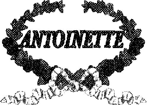 Antoinette est une marque déposée par VIASTAEL (ACHILE-MISS ACHILE)