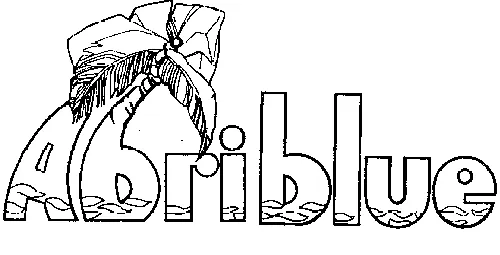 Abriblue est une marque déposée par A.S. POOL