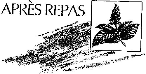 Apres Repas est une marque déposée par BJORG ET COMPAGNIE