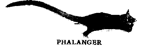 Phalanger est une marque déposée par THALES DMS FRANCE SAS