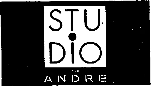 Studio Pour Andre est une marque déposée par EXAND HOLDING (ANDRE - STOCK ANDRE)