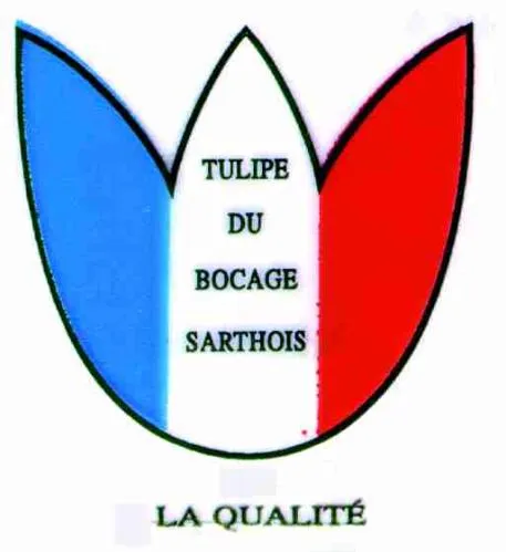 Tulipe Du Bocage Sarthois La Qualite est une marque déposée par SAS BIGOT JEAN-PHILIPPE HORTICULTURE