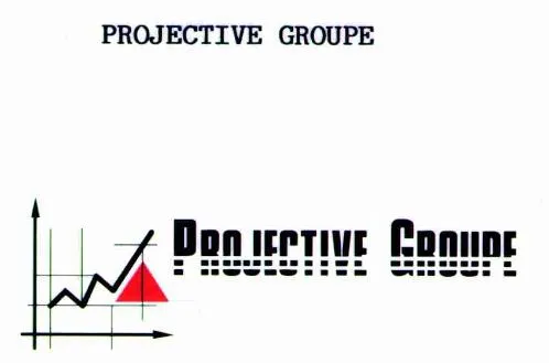 Projective Groupe est une marque déposée par PROJECTIVE GROUPE