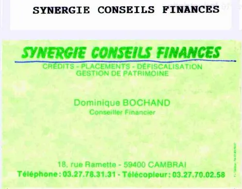 Synergie Conseils Finances est une marque déposée par BOCHAND DOMINIQUE