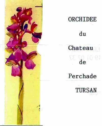 Orchidee Du Chateau De Perchade Tursan est une marque déposée par SCEA VIGNOBLES DULUCQ