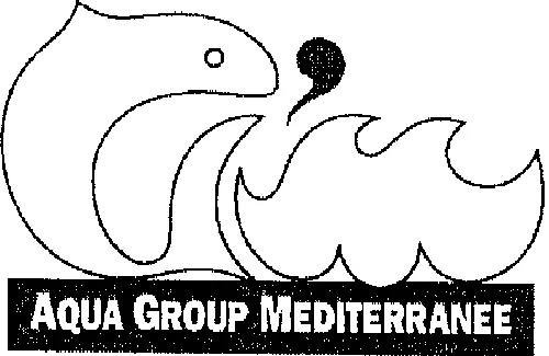 G'm Aqua Group Mediterranee est une marque déposée par I.C.M.