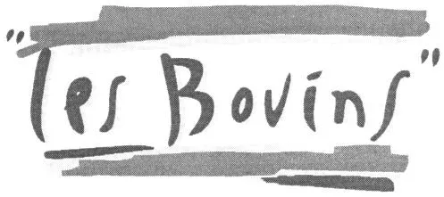 Les Bovins est une marque déposée par SYSTEME U SUD