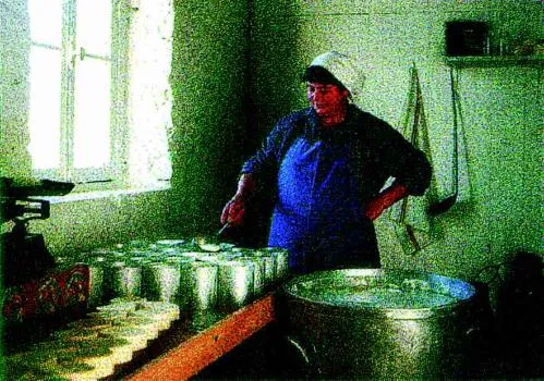  est une marque déposée par FROMAGERIE REO