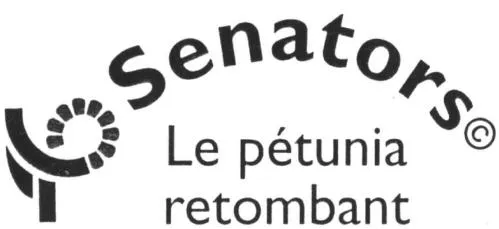 Senators Le Petunia Retombant est une marque déposée par SAS PHILIOMEL