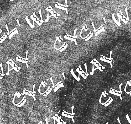 Cycl'way est une marque déposée par SVM