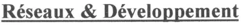 Reseaux & Developpement est une marque déposée par MARTY LAURENT