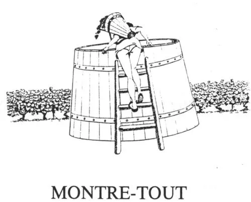 Montre-Tout est une marque déposée par COMPAGNIE DES VINS FINS (CVF)