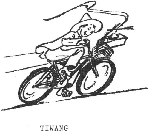 Tiwang est une marque déposée par SAGEM NETWORKS (STATION PIZZA)