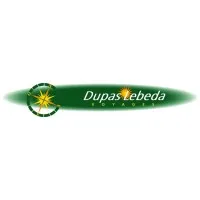 VOYAGES DUPAS ET LEBEDA logo