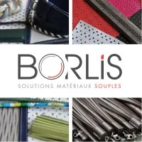 Voici le logo de la marque BORLIS qui représente son identité graphique.