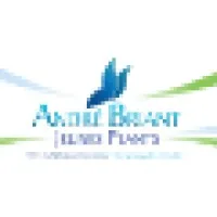 ANDRE BRIANT JEUNES PLANTS (ABJP)