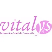 Voici le logo de la marque GIP VITALYS qui représente son identité graphique.